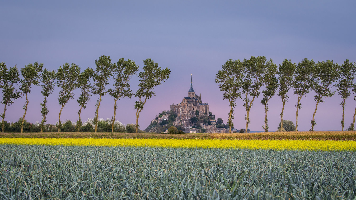 Мон-Сен-Мишель (Mont Saint-Michel): как добраться, что посмотреть и почему это самое необычное место Нормандии Мон-Сен-Мишель (Mont Saint-Michel): как добраться, что посмотреть и почему это самое необычное место Нормандии