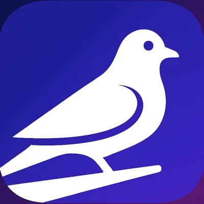 Голубиная почта: вышел мессенджер Roost, в&nbsp;котором сообщения доставляют виртуальные птицы с&nbsp;реальной скоростью