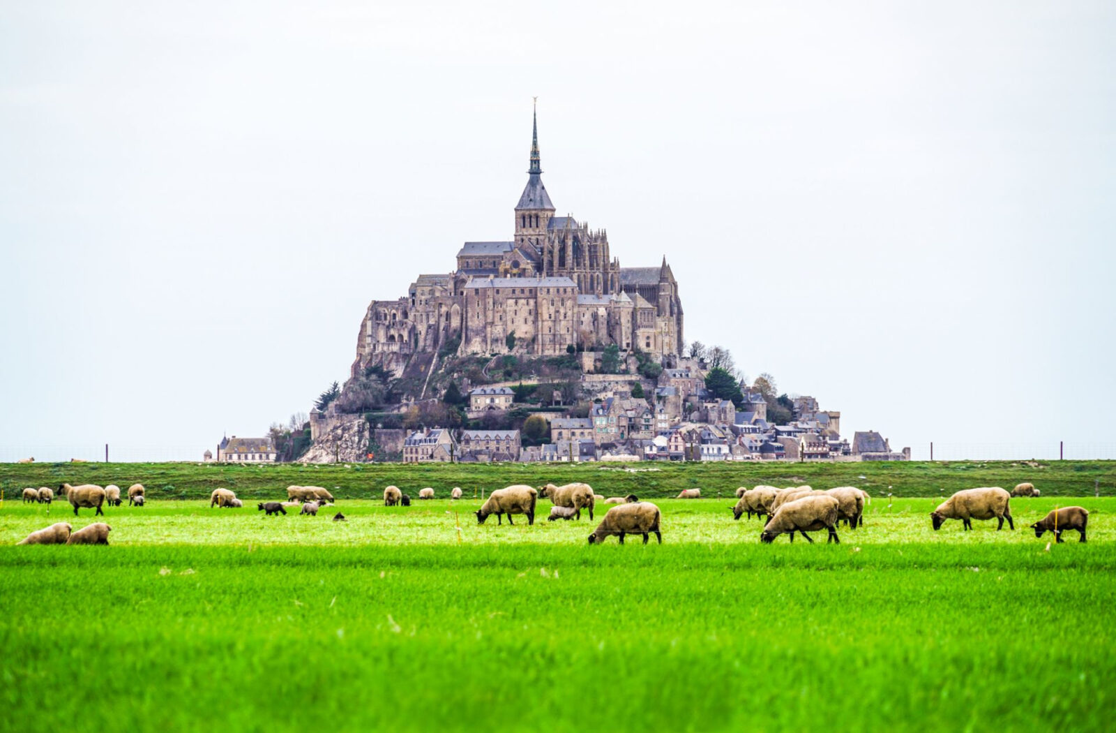 Мон-Сен-Мишель (Mont Saint-Michel): как добраться, что посмотреть и почему это самое необычное место Нормандии Мон-Сен-Мишель (Mont Saint-Michel): как добраться, что посмотреть и почему это самое необычное место Нормандии