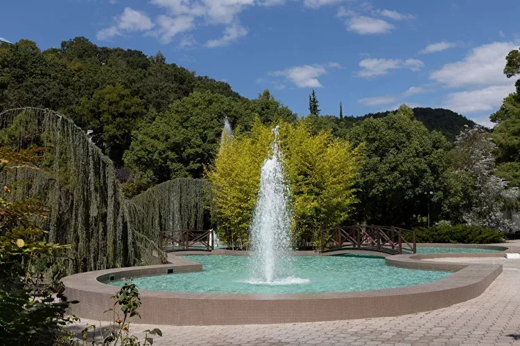Современные санатории Сочи: лучшие SPA и wellness-курорты с лечением Современные санатории Сочи: лучшие SPA и wellness-курорты с лечением