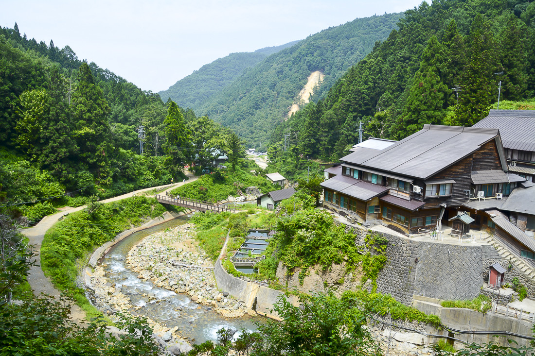 Парк обезьян Джигокудани (Jigokudani Monkey Park) &mdash; где находится, снежные обезьяны, как добраться и что посмотреть