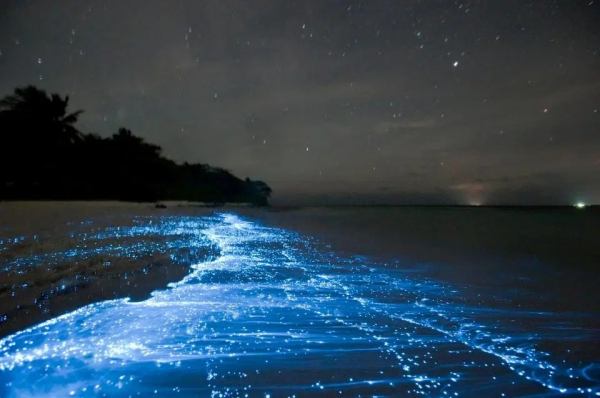 Лучший художник &mdash; природа, потрясающе красивые места в разных уголках планеты